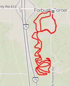 The Forbush Freestyle course. The trails are deceptively challenging and fun!