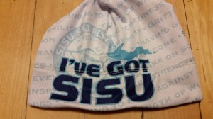 Sisu is a Finnish word meaning determination, bravery, and resilience. 